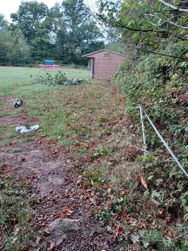 Bramble bank cleared back along a field edge