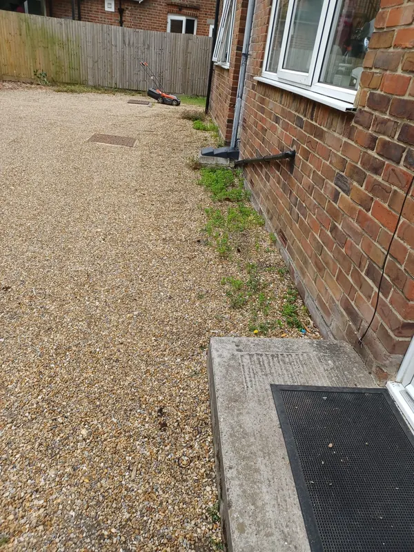 Weeds along the wall of a gravel courtyard