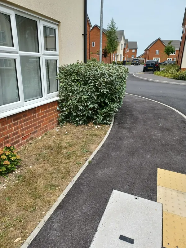 Front lawn weeded and tidied