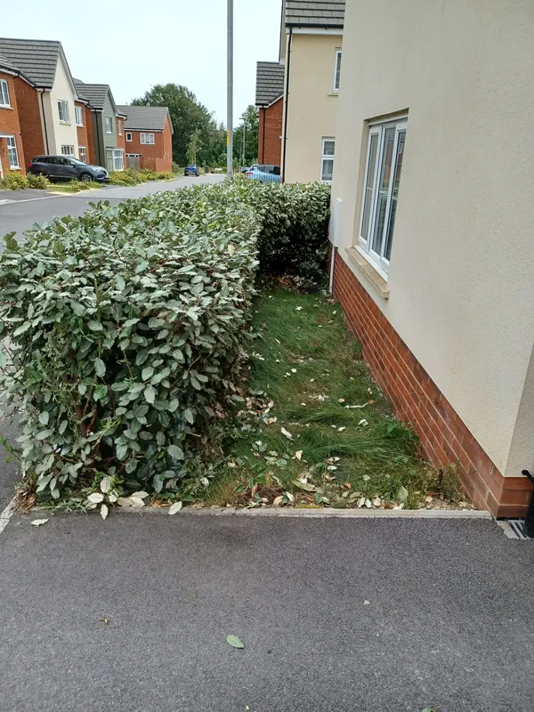 Hedge trimmed square and tidy