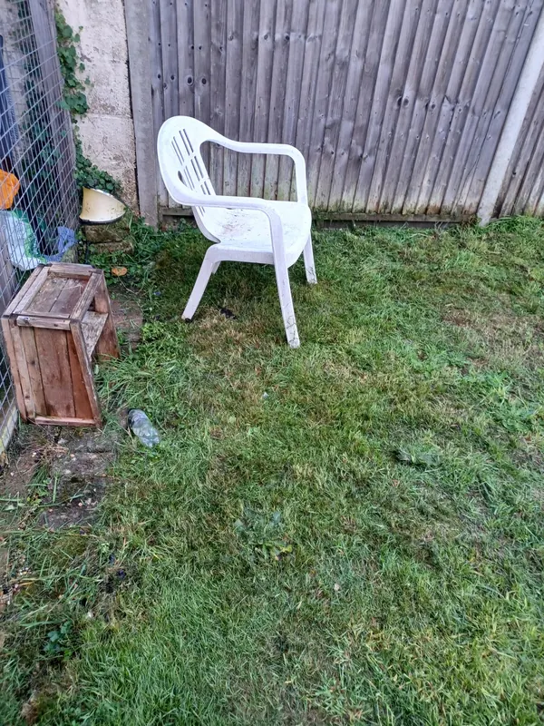 Back lawn cut short and tidied