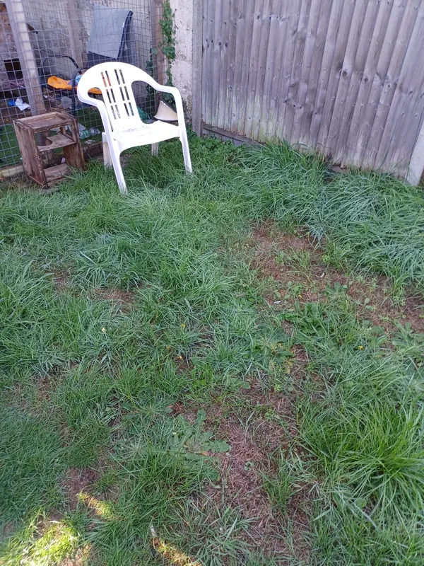 Long grass around a garden chair in the corner of a lawn