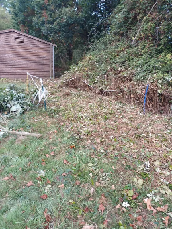 Bramble bank cut back to the ground